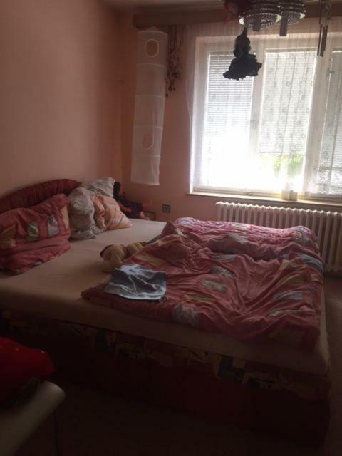 Apartament Dolni Bukovsko ภายนอก รูปภาพ